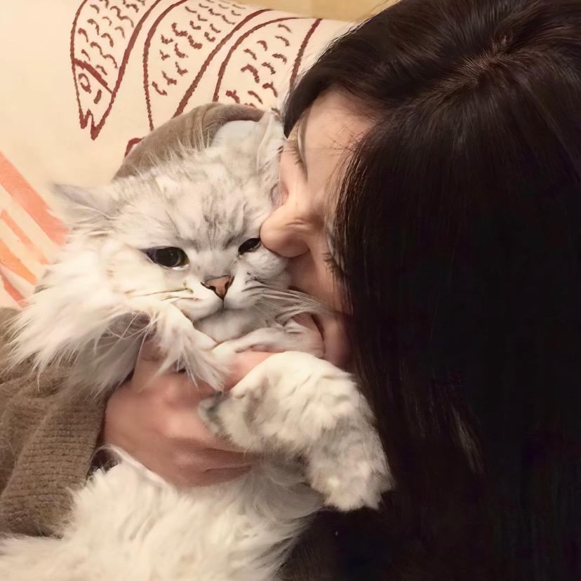 ㅤㅤㅤㅤㅤㅤ       ㅤㅤㅤ