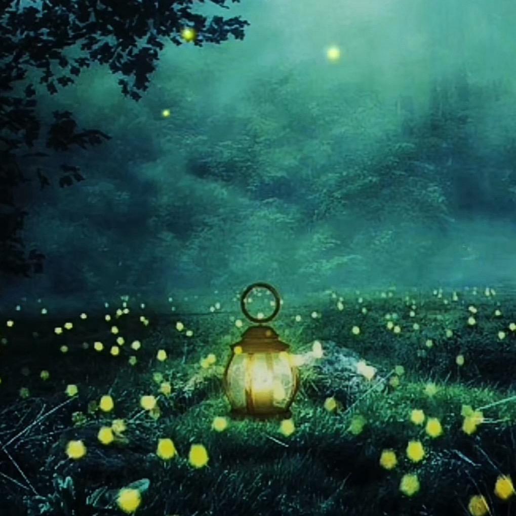 前⃢程⃢似⃢锦