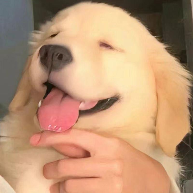 今晚早点睡~