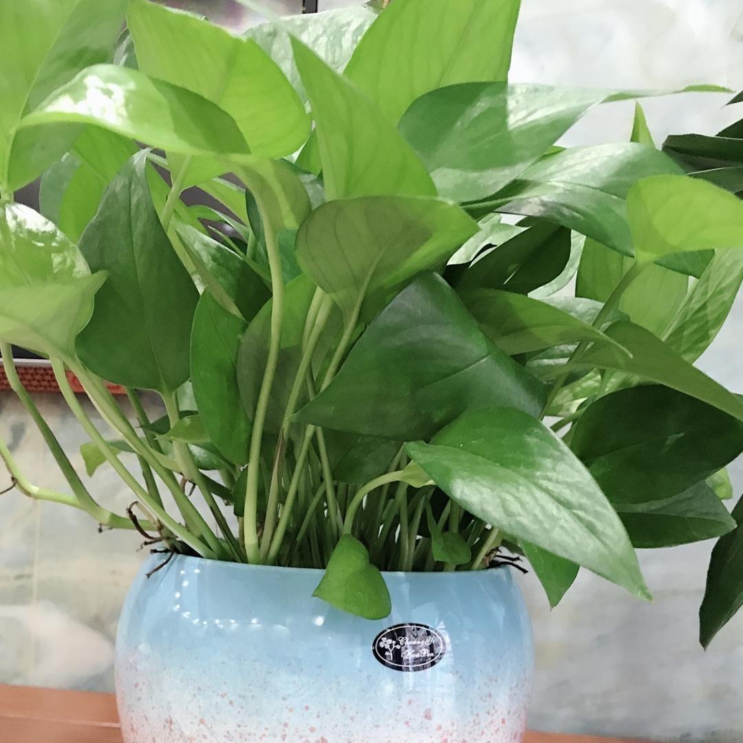 懂得珍惜才配拥有