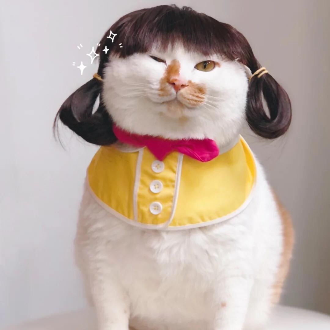 小霖霖闪闪发光