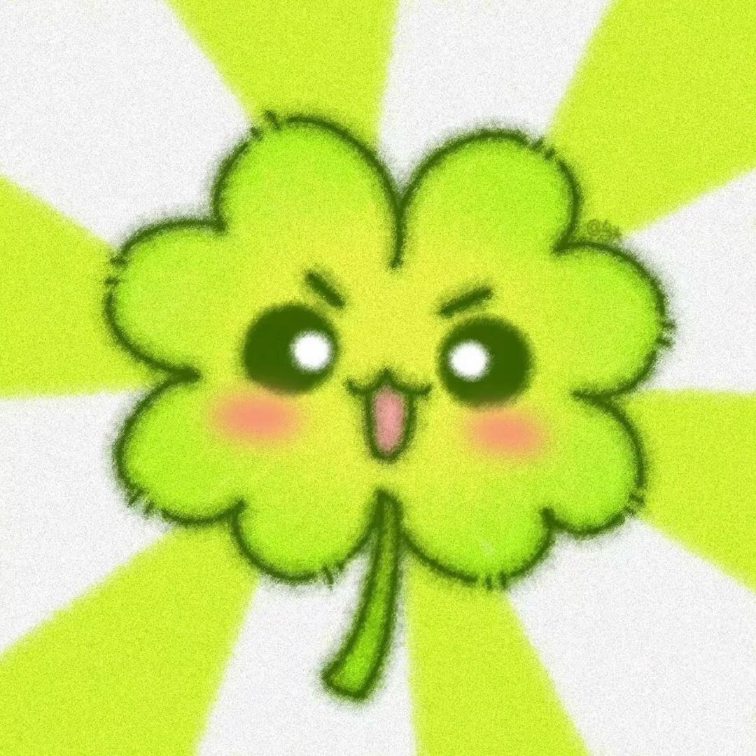 菜鸟想飞
