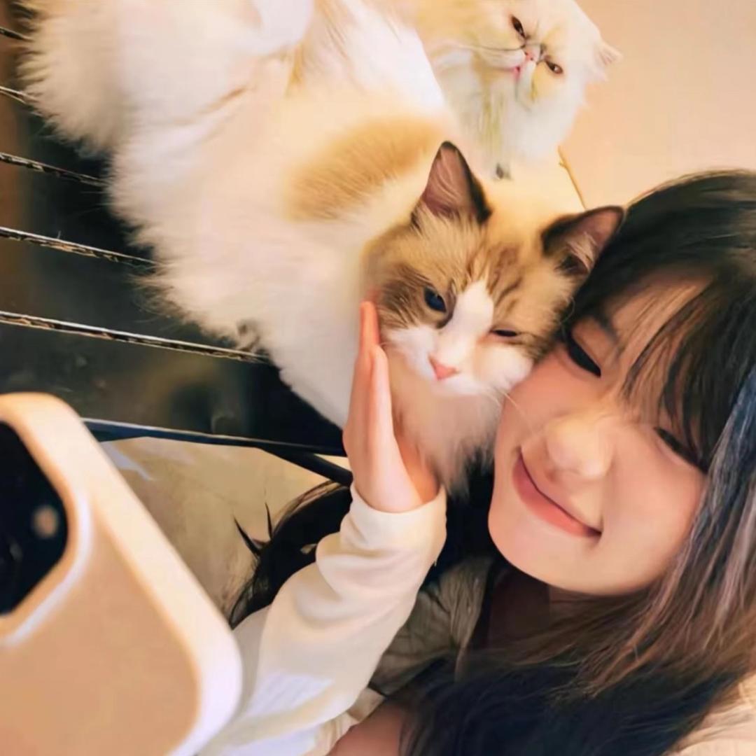 加1