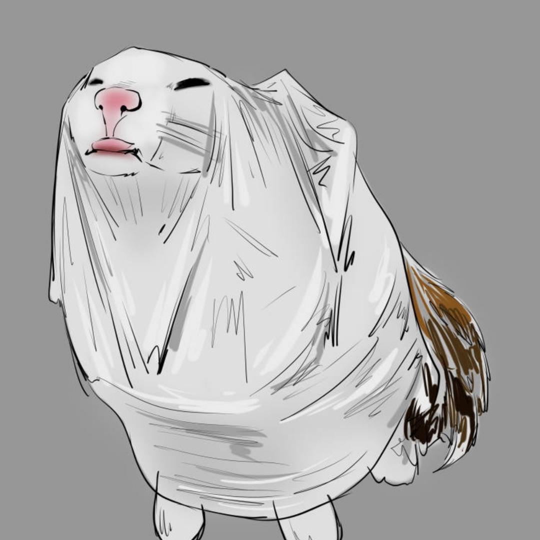 猫俩