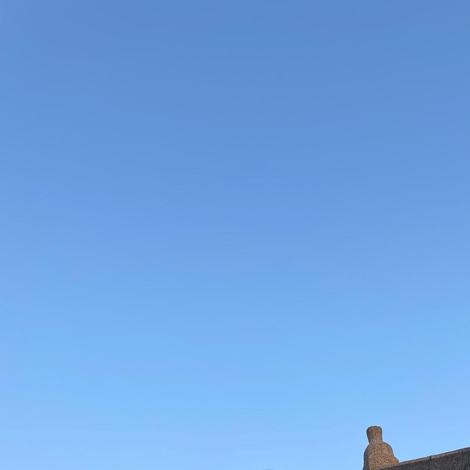 生命总是美丽的
