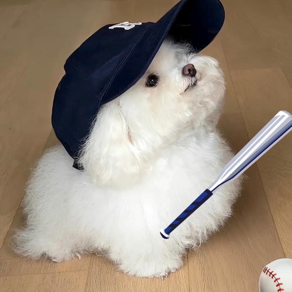 ⚾️好棒一颗球