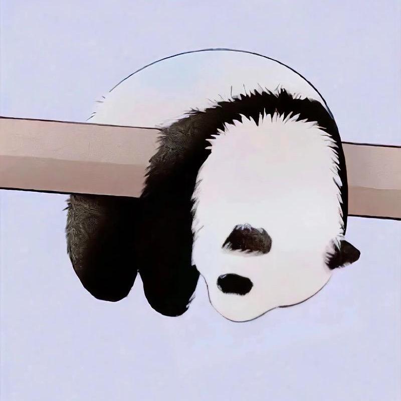 且笑天下江山如画