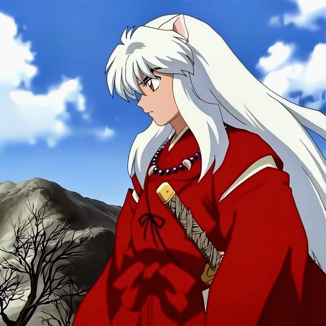 Inuyasha（漫剪）