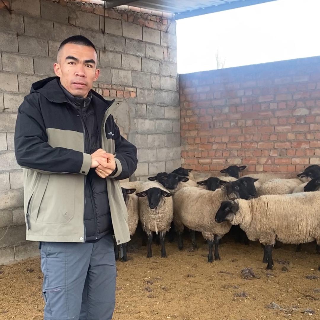 丹尼尔🍂养羊🐑