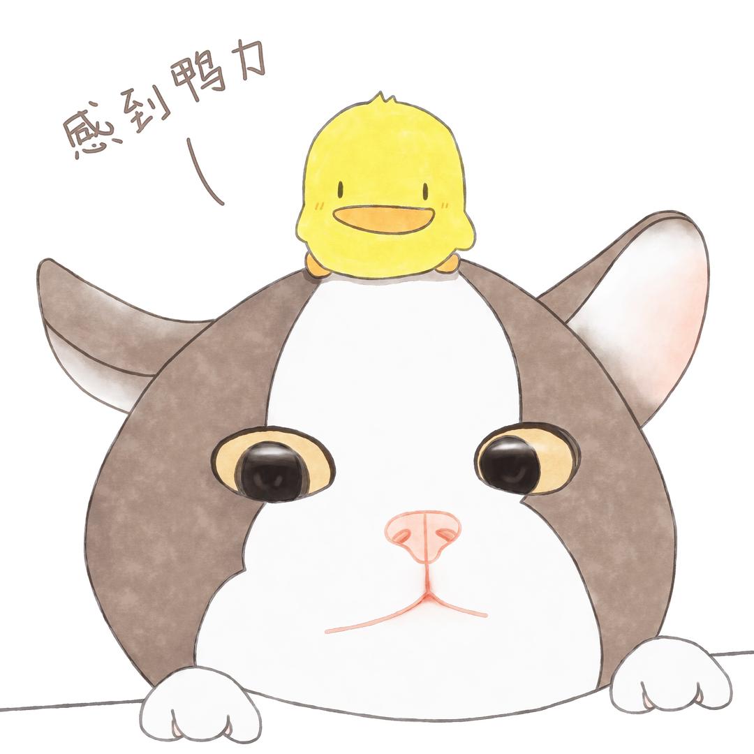 江小傲猫咪食品