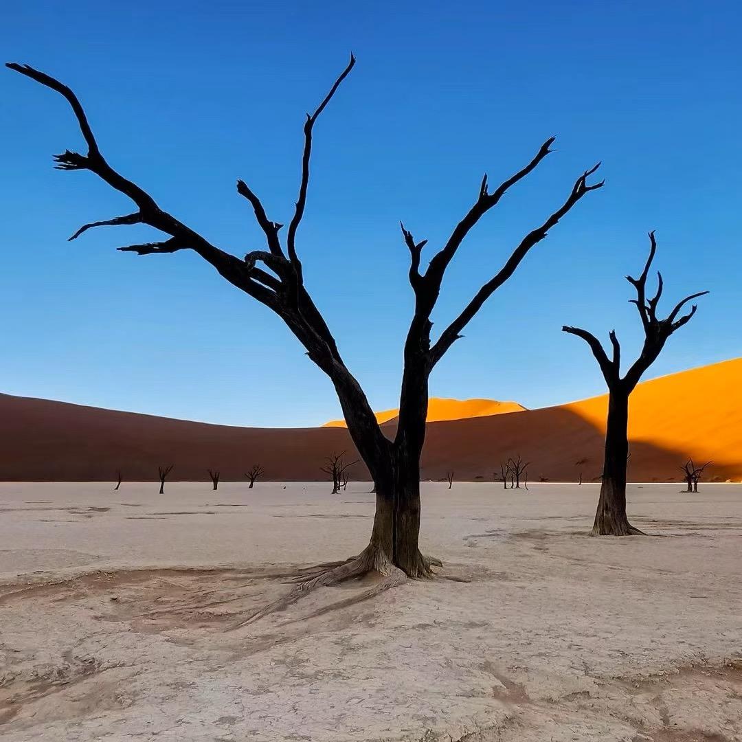 🌈🌈🌈刚好遇见你