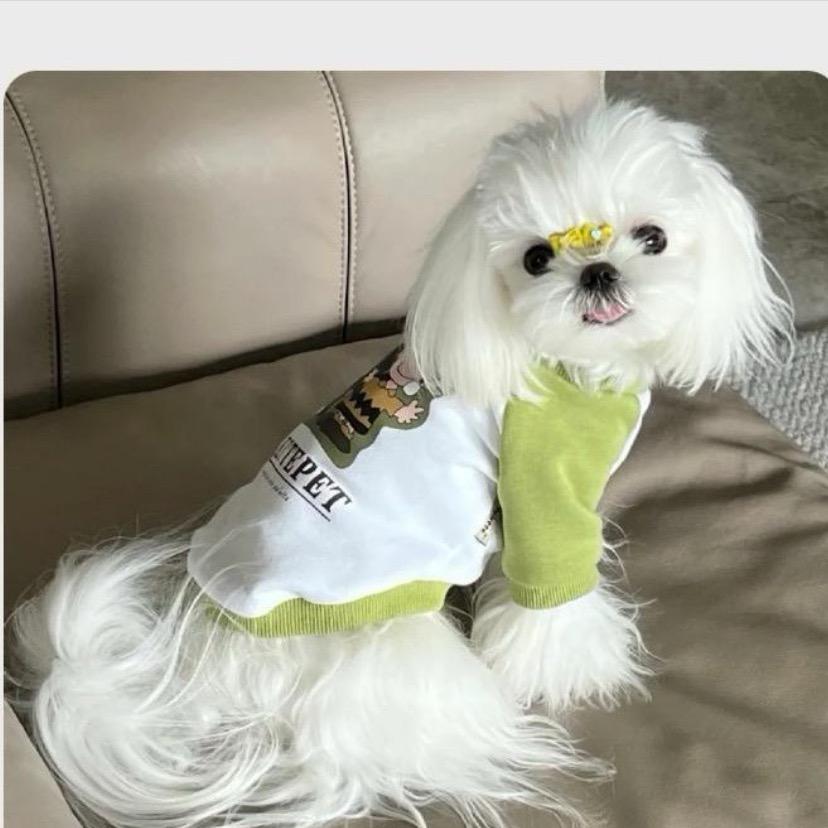 哇好运连连来啦✌️