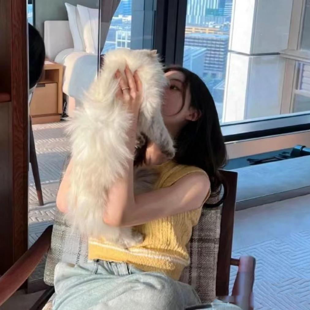 🐏一杨