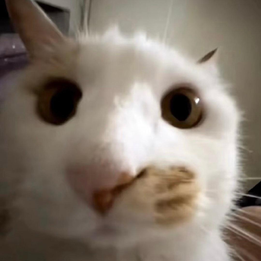 我的屁股很痒然后就挠了