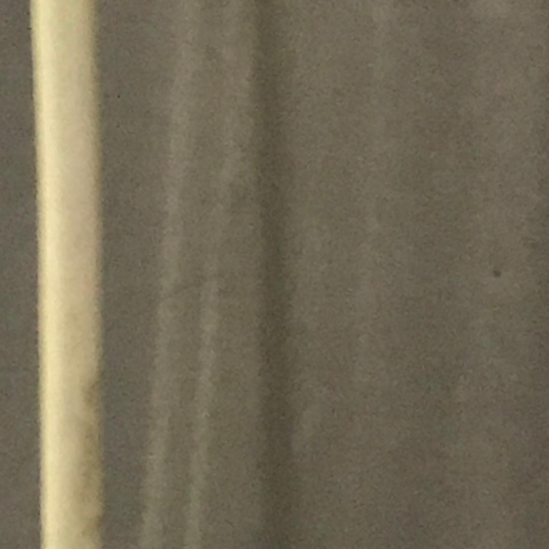 大飞燕