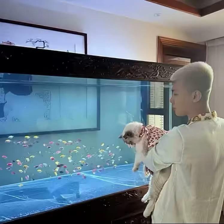 马走日