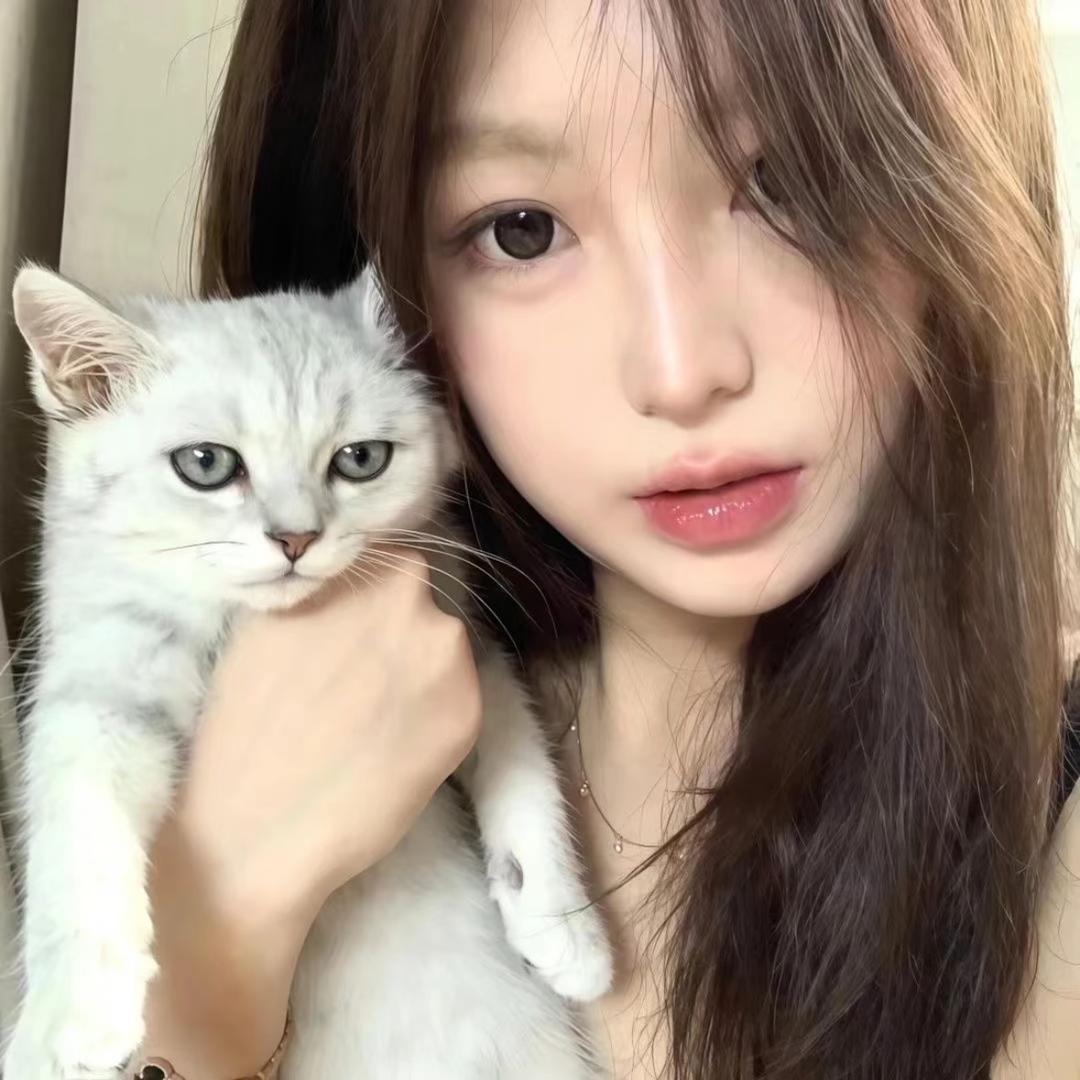 燕子大王🐾