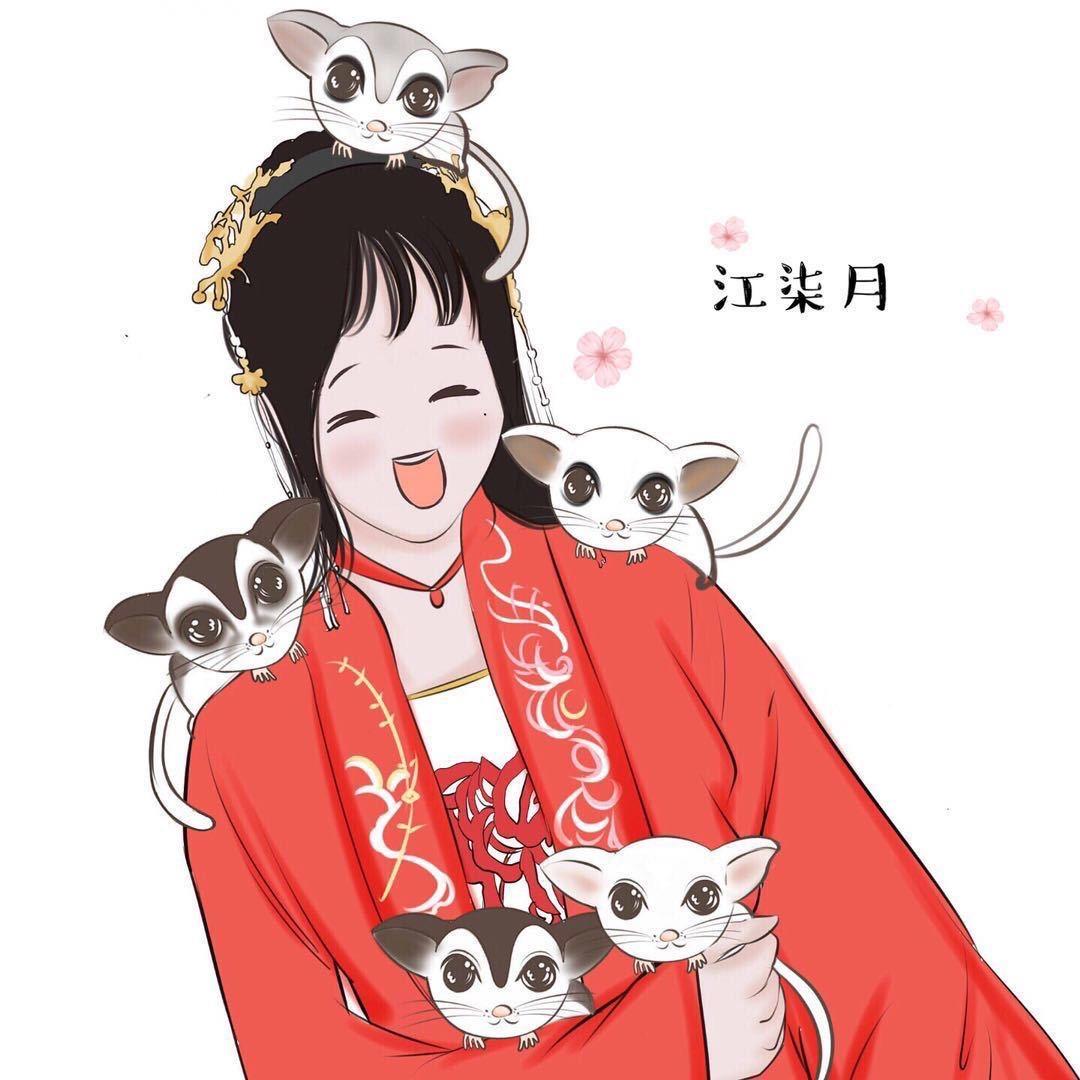江柒月的蜜袋鼯