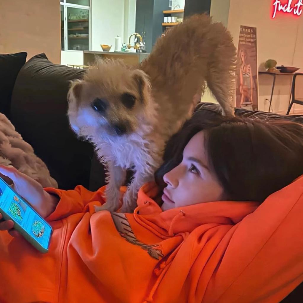 Vivi定制穿戴甲（接单中）