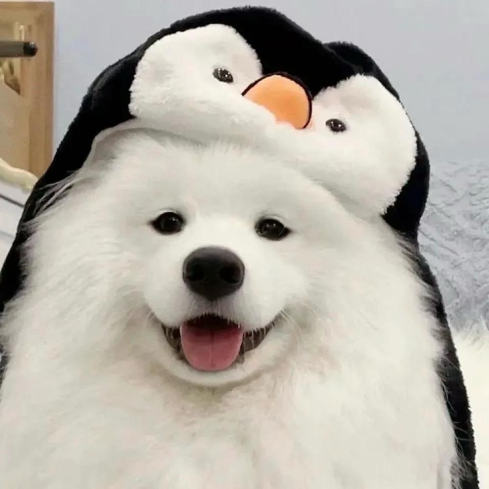 我不认识你