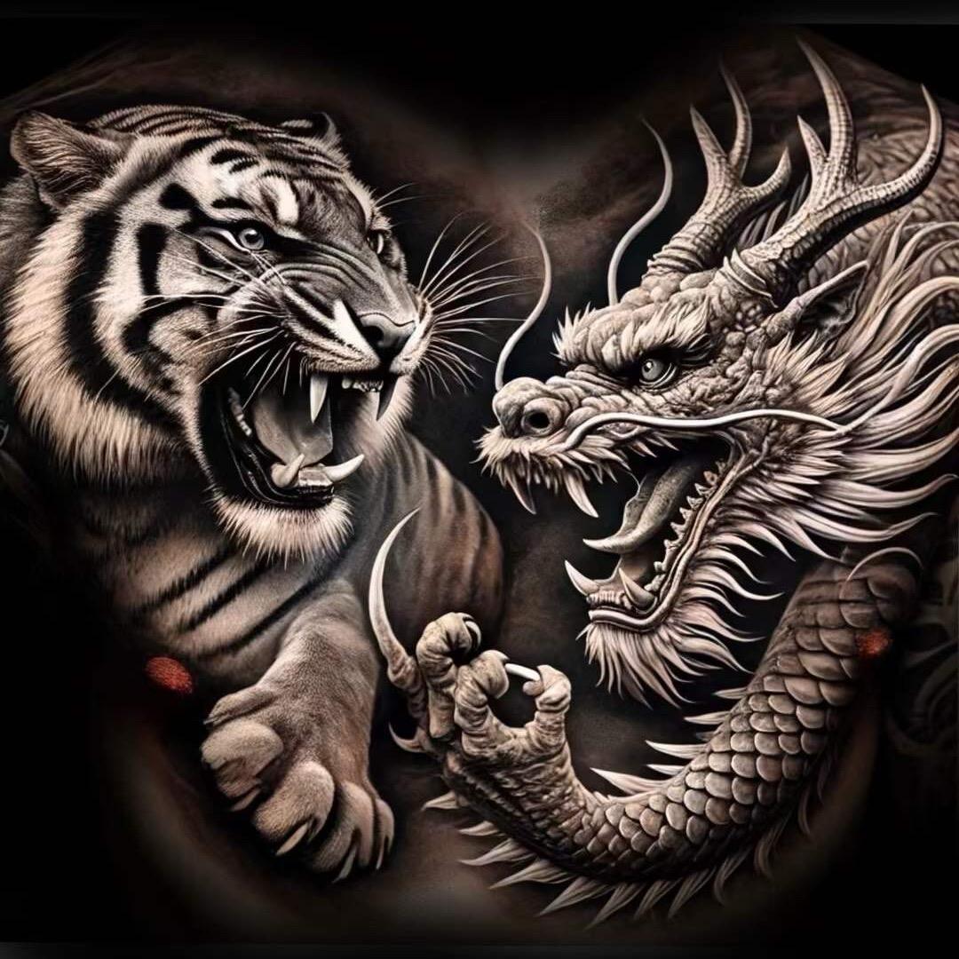 美食烹饪爱好者