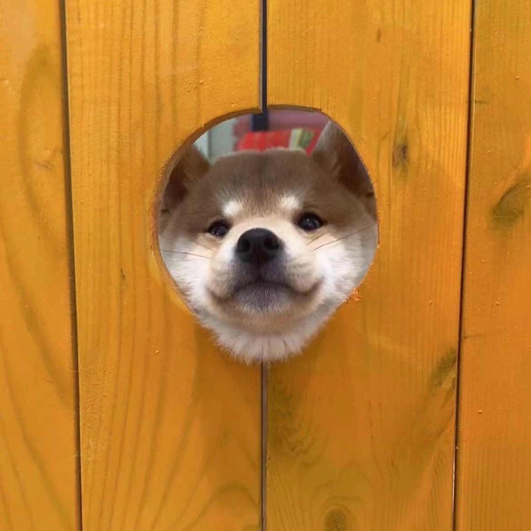 ^  ^