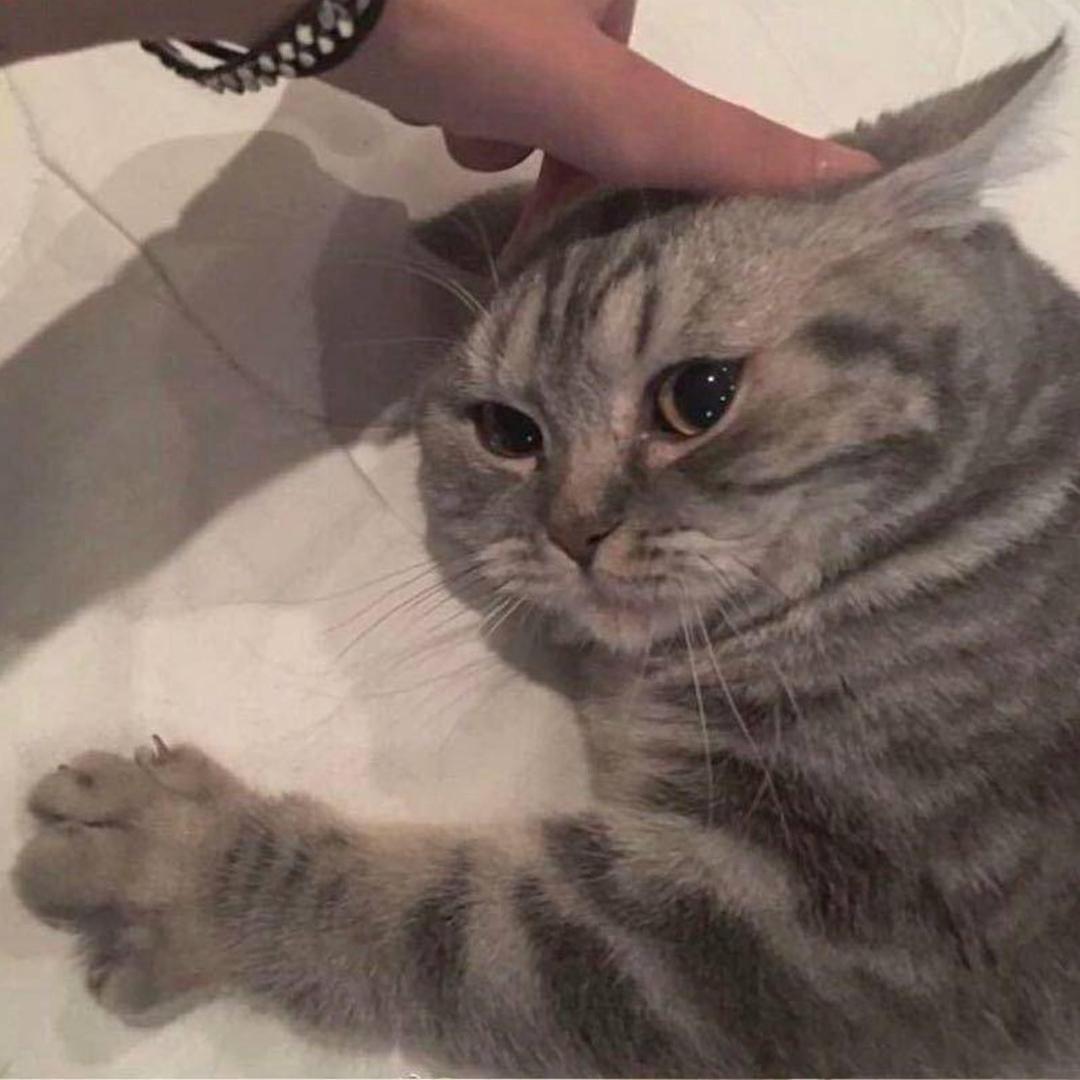 ㅤㅤㅤㅤㅤㅤㅤㅤ ㅤㅤㅤㅤㅤㅤ ㅤㅤ