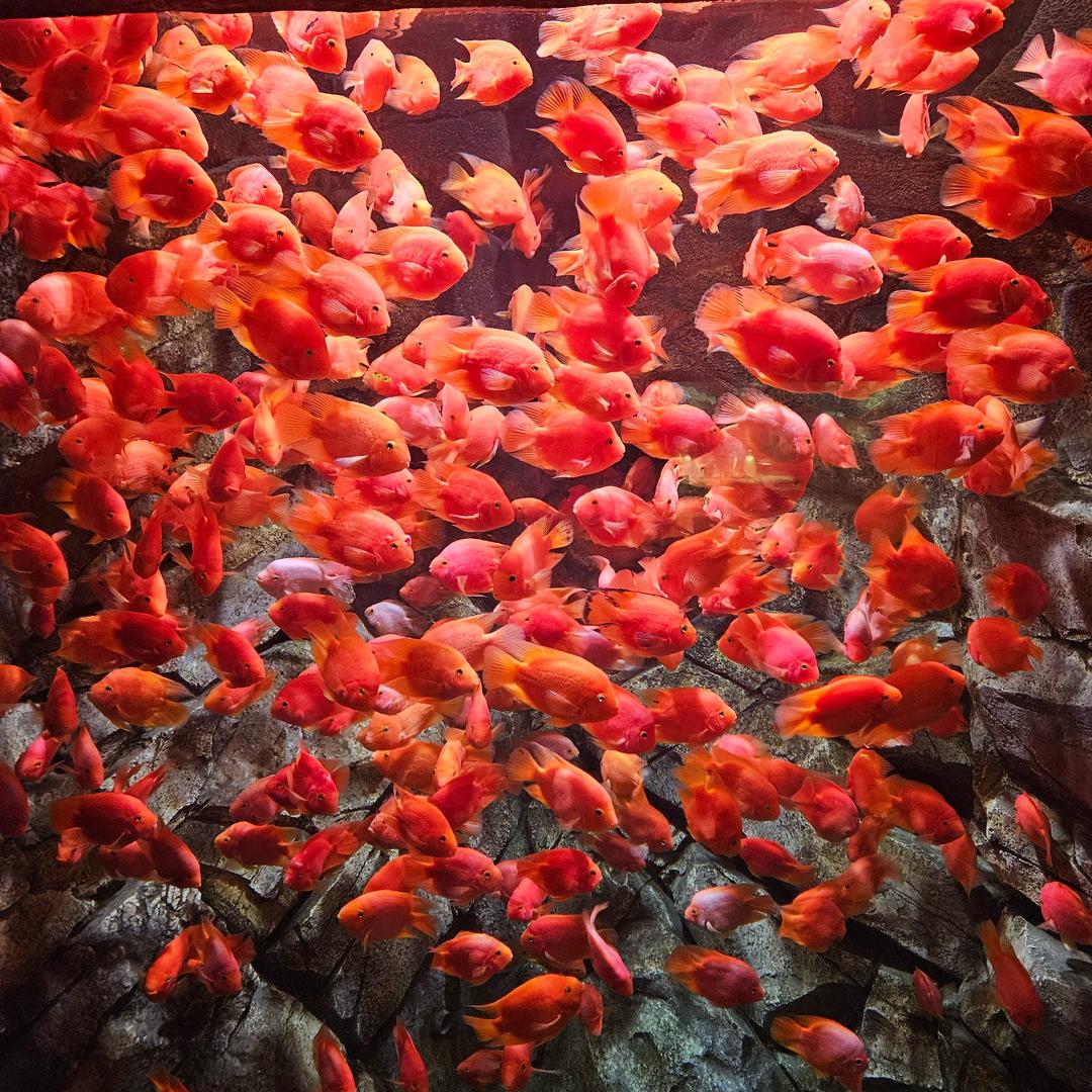 东北汽车研究员