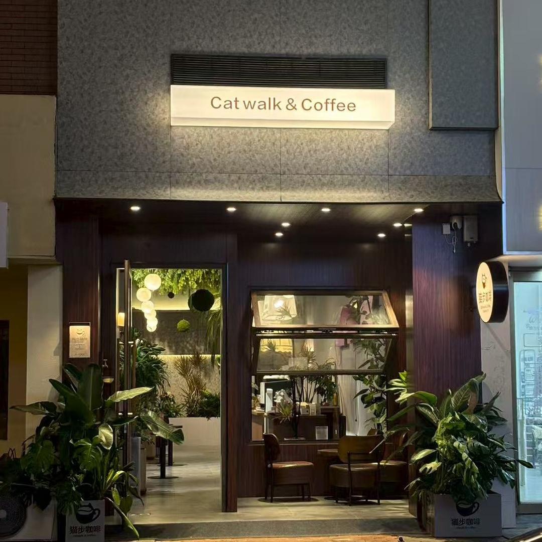 猫步咖啡官方号