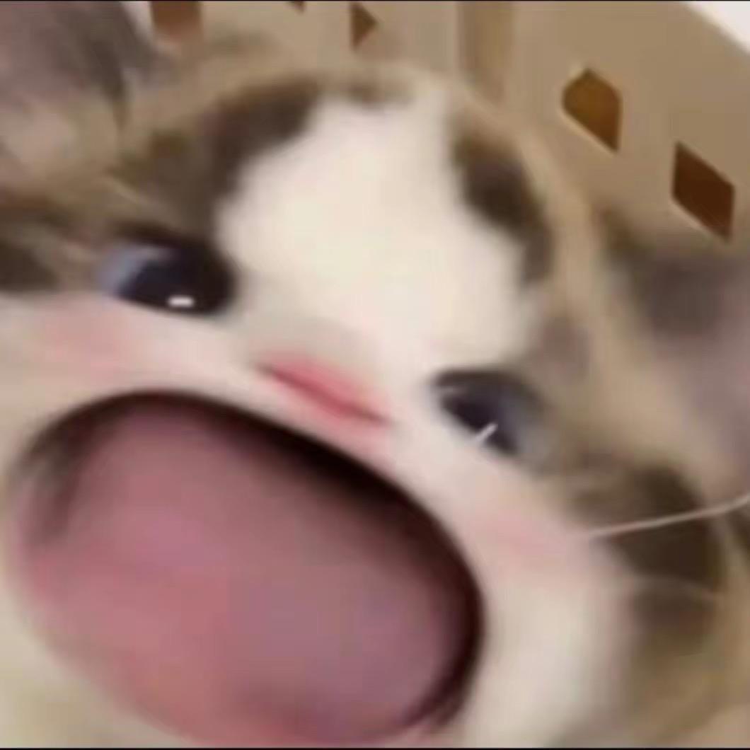 Rui