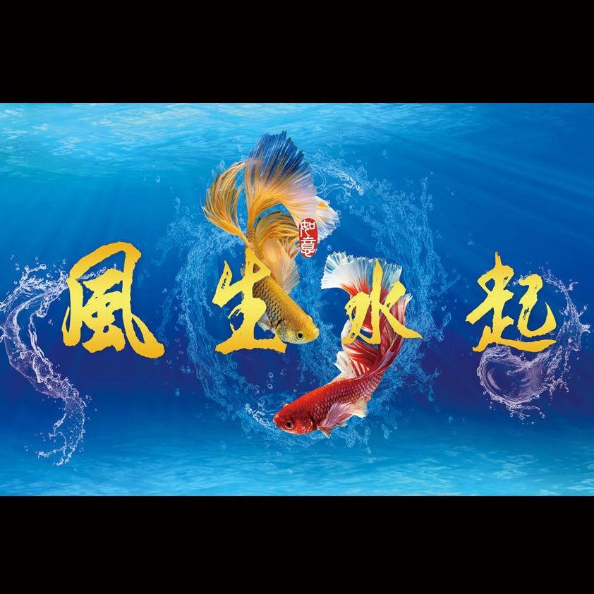 暖冬佳人
