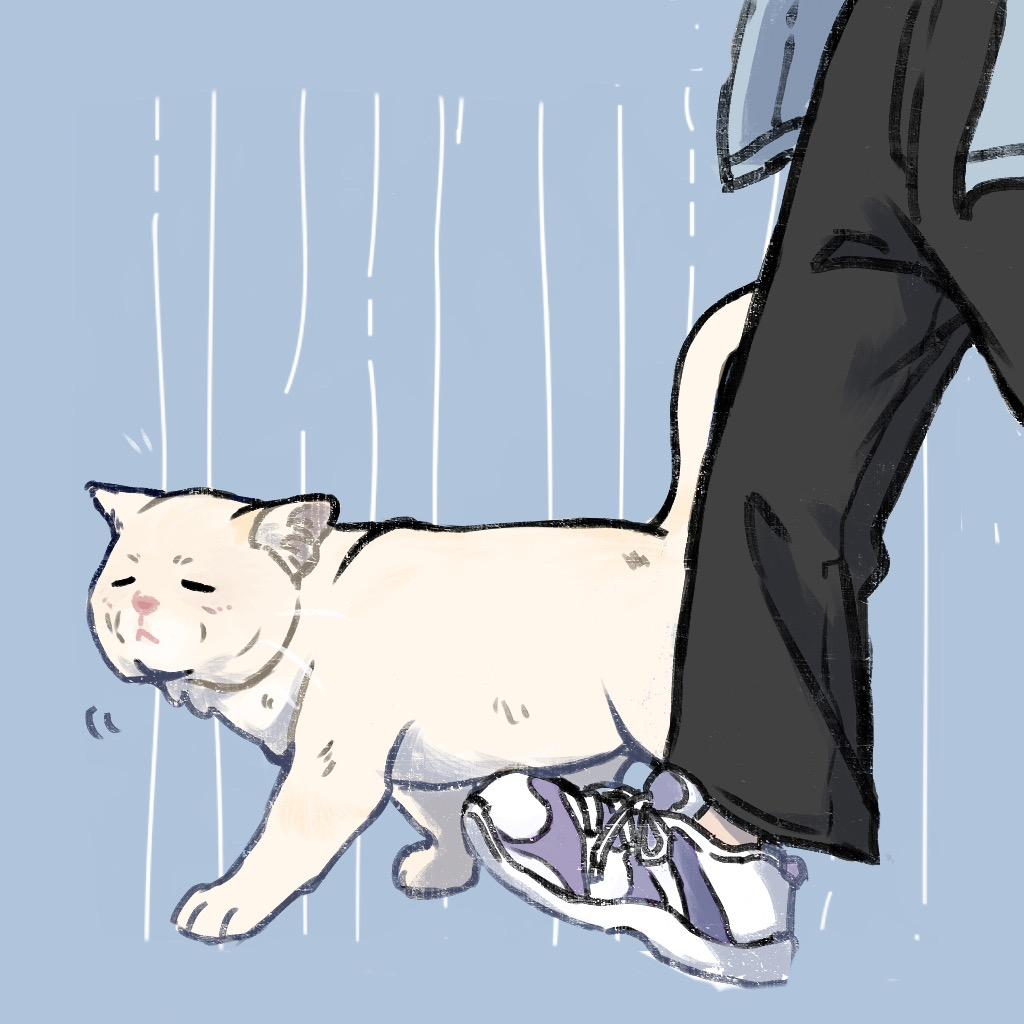 和小猫散步才是正经事