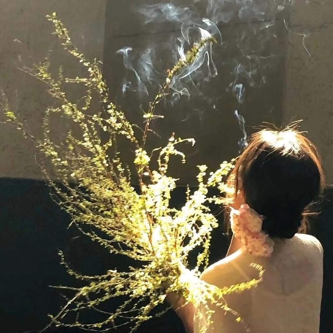 椰子电台