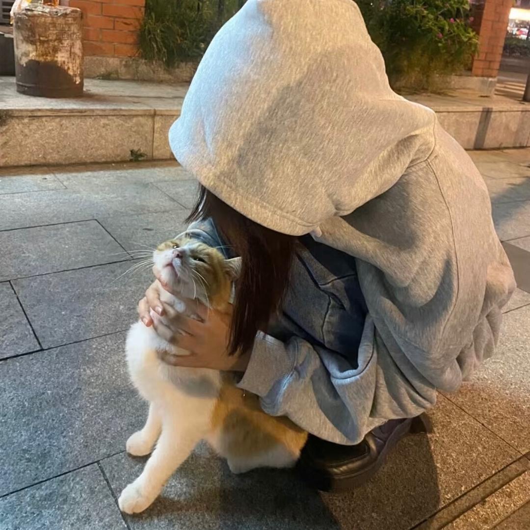 喵个头啊
