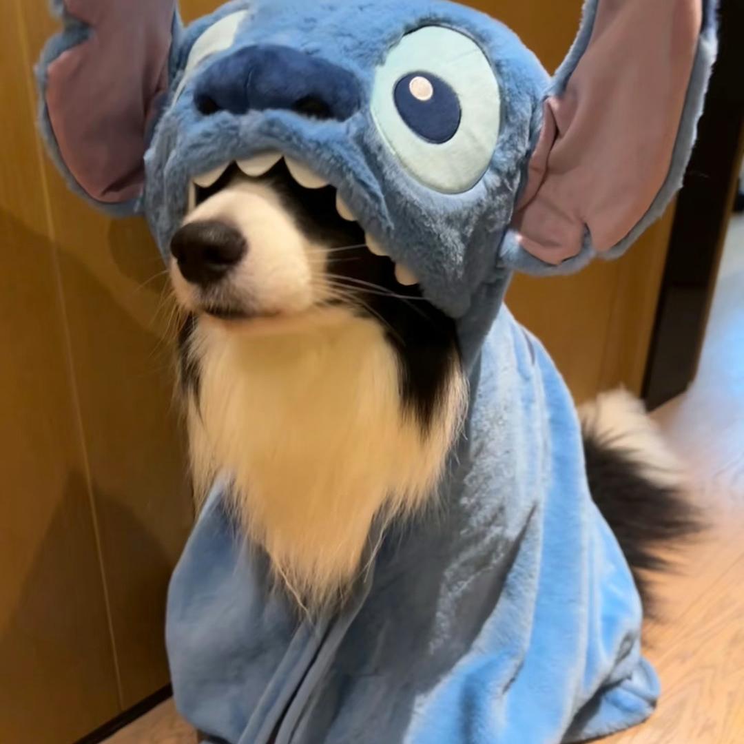边边发