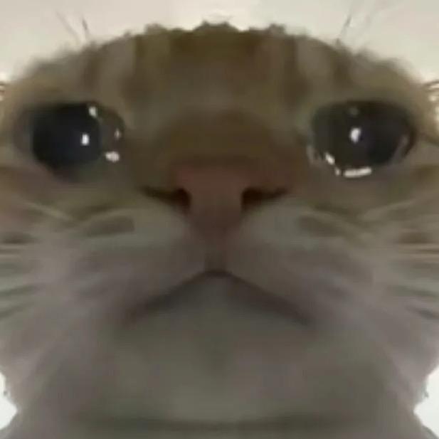 阿文