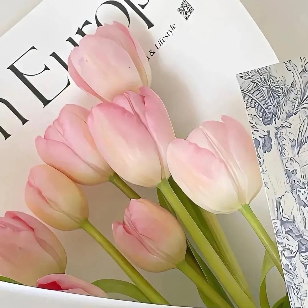 米贝尓🌷
