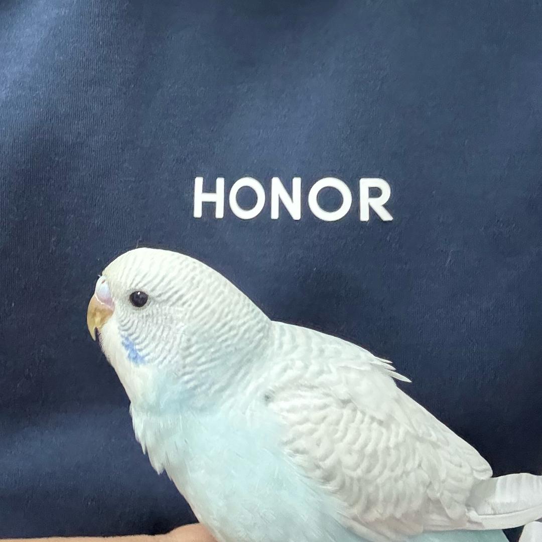 陆陆陆陆陆陆陆陆陆陆陆陆陆