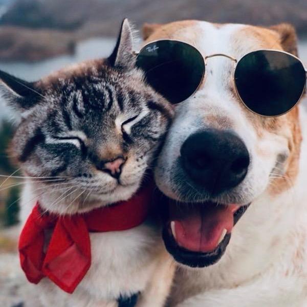 抽烟没有打火机