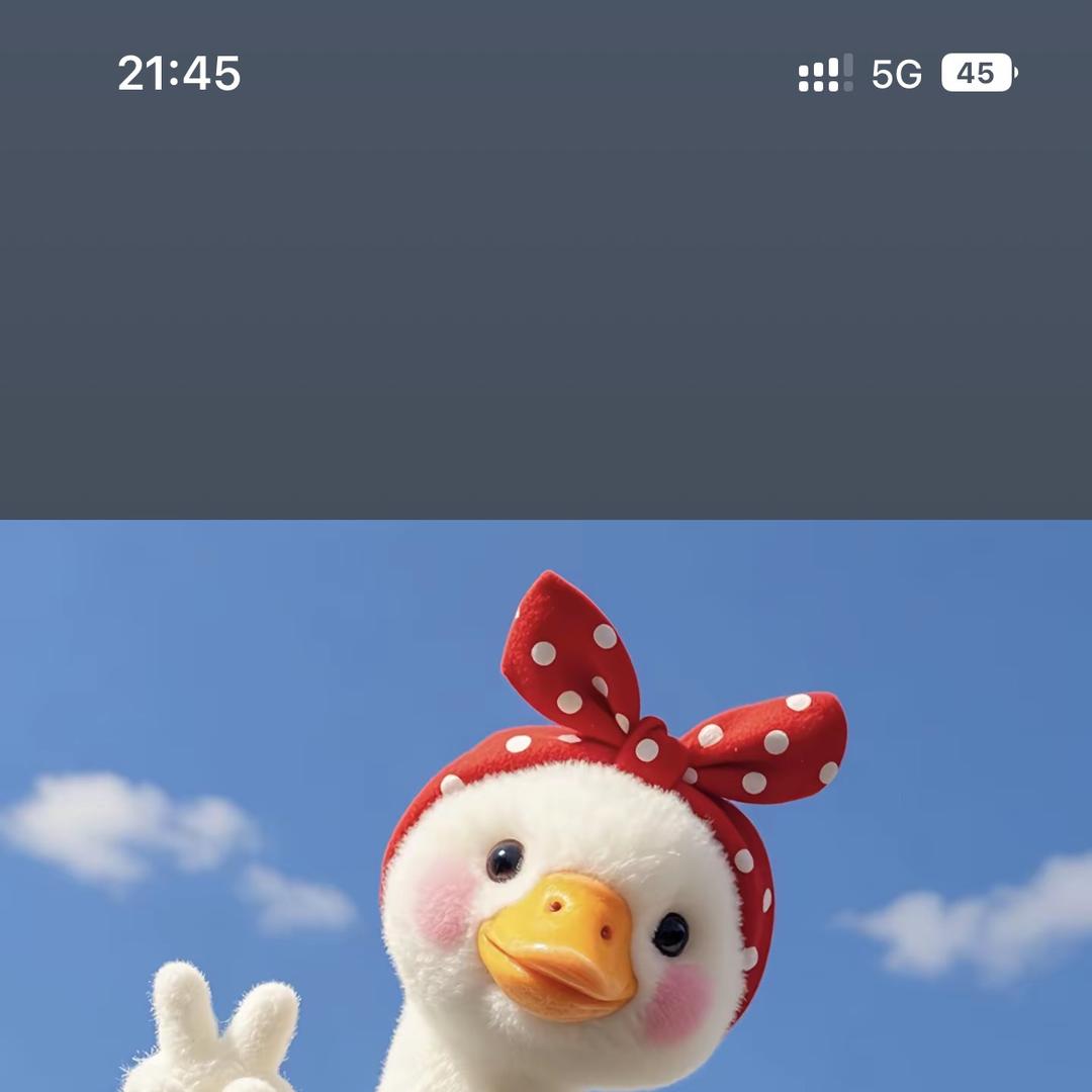 灵儿毛绒玩具
