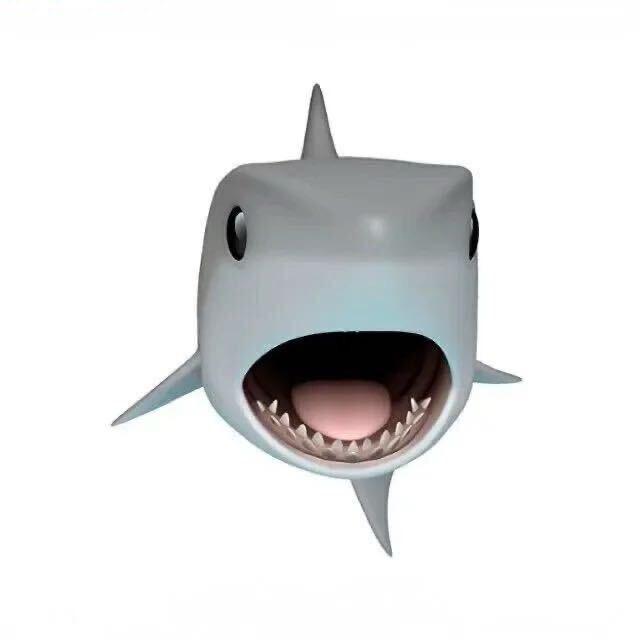 小鲨鱼