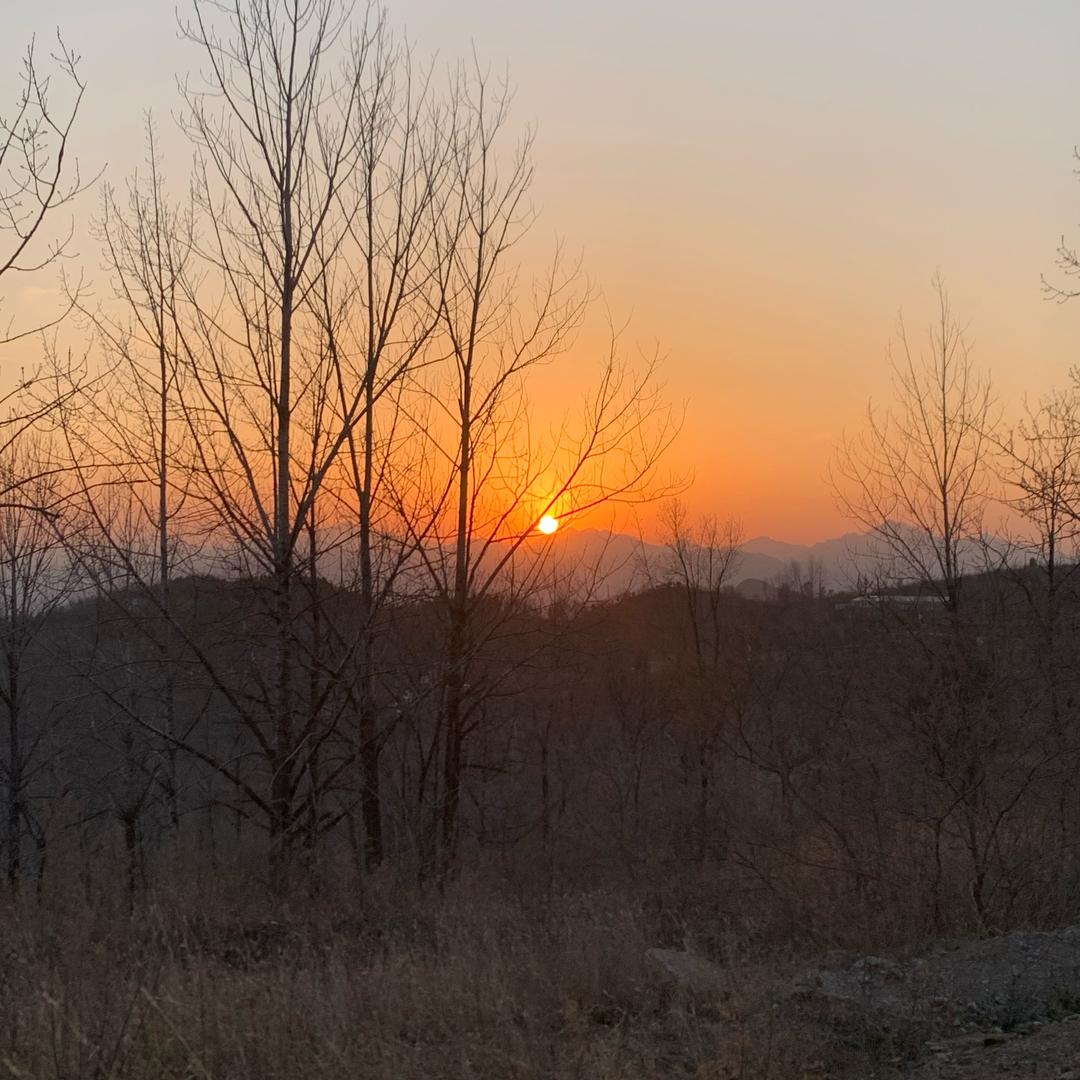 蕊睿（拒绝私聊 可默默的点赞）