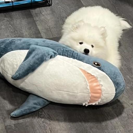 ✨好运 小羊
