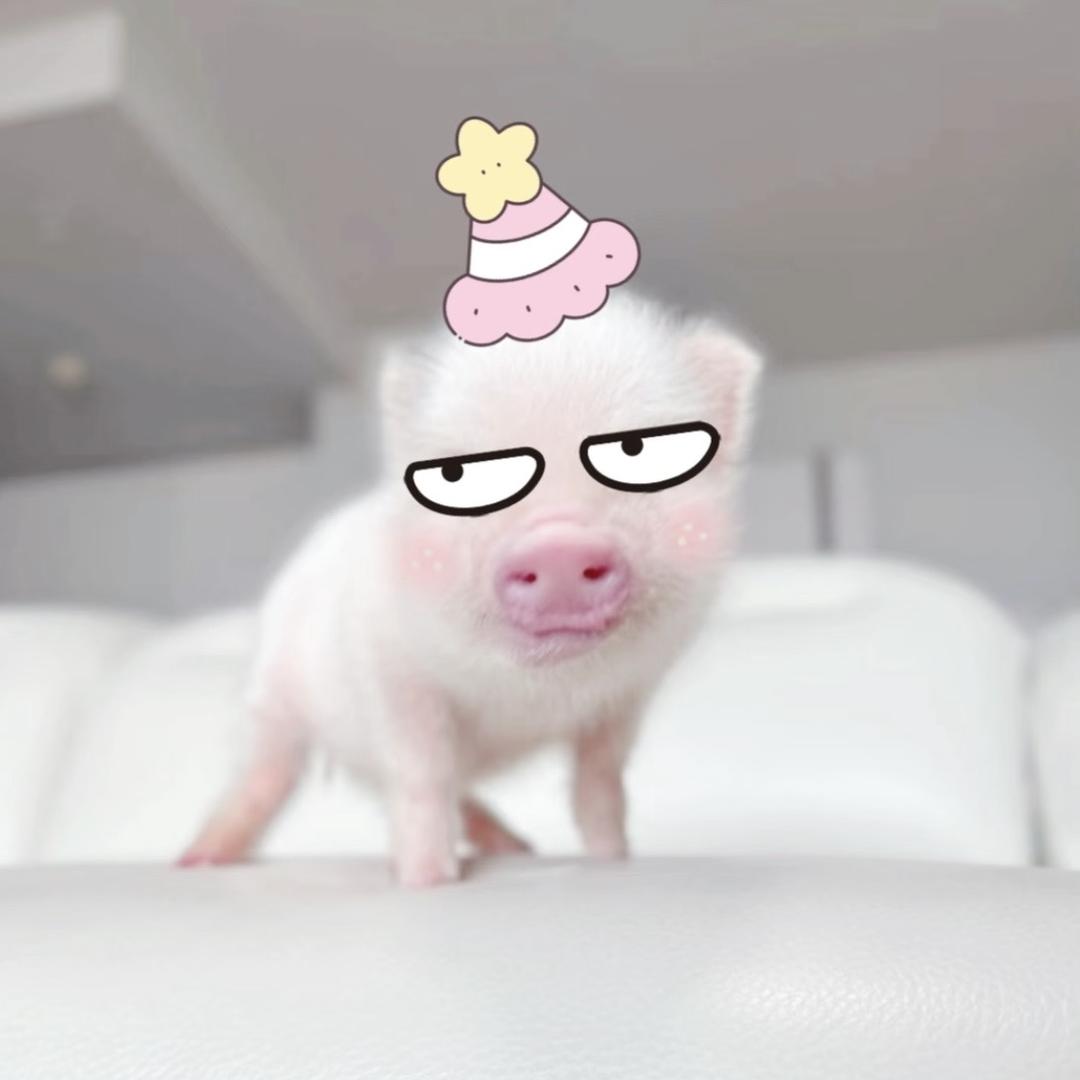 kyuubi