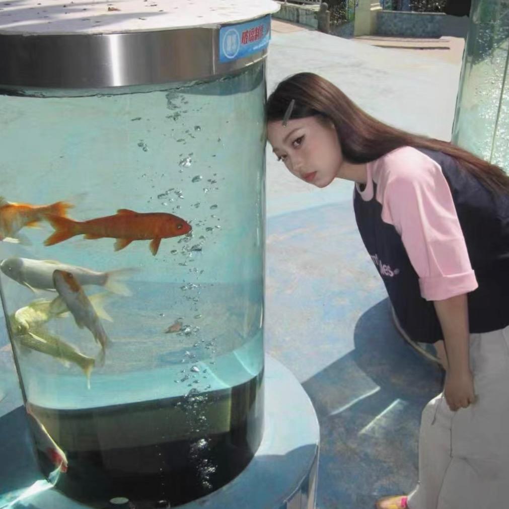 🐟
