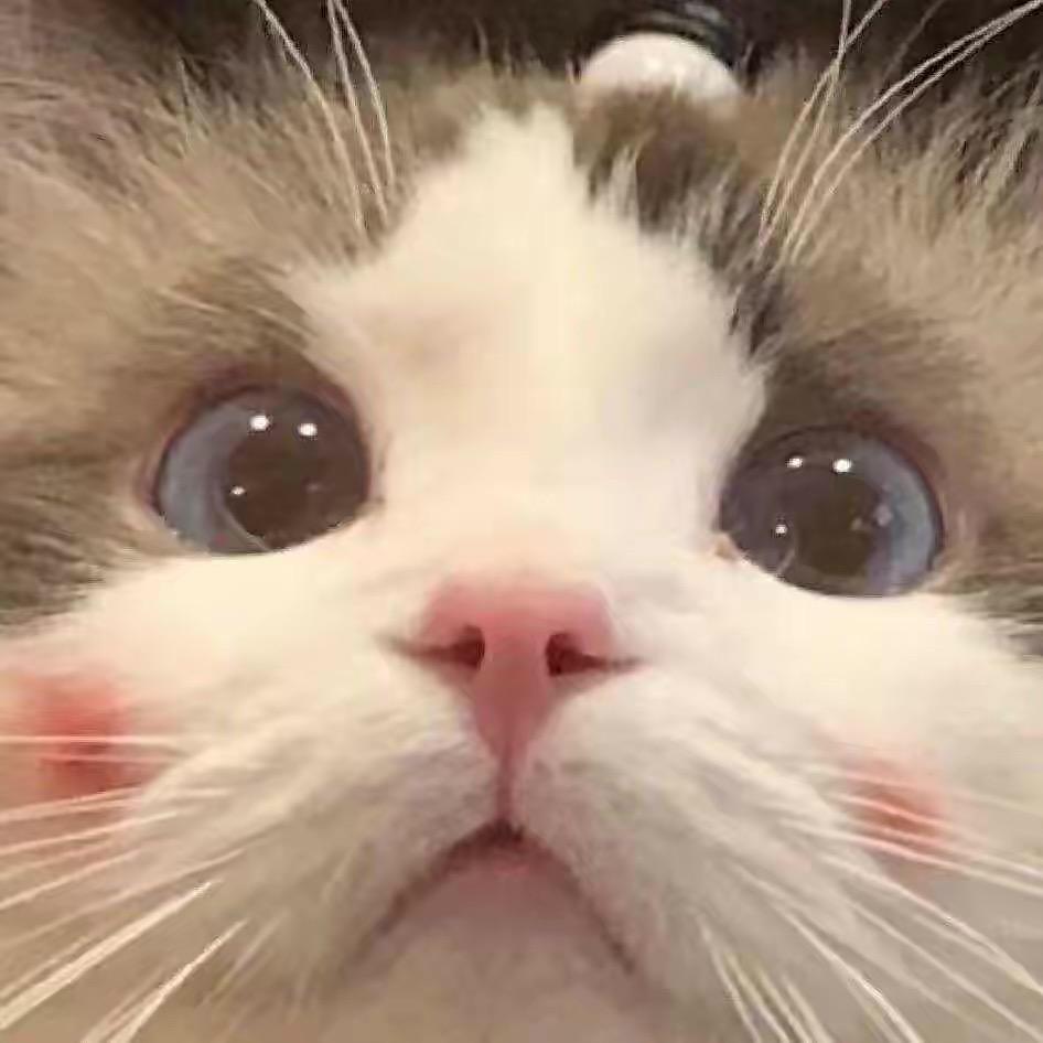 天晴💫
