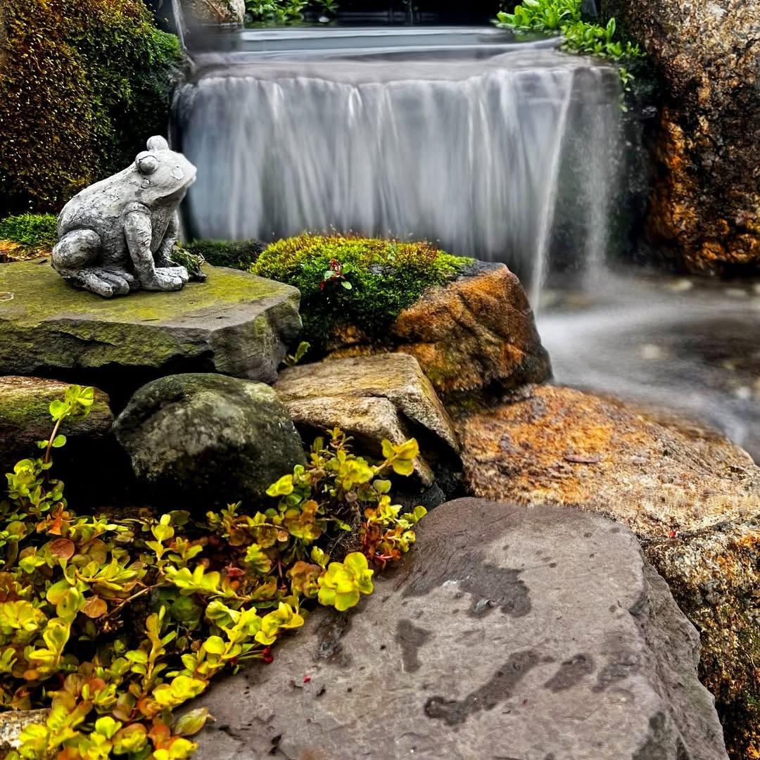 渔师傅造景