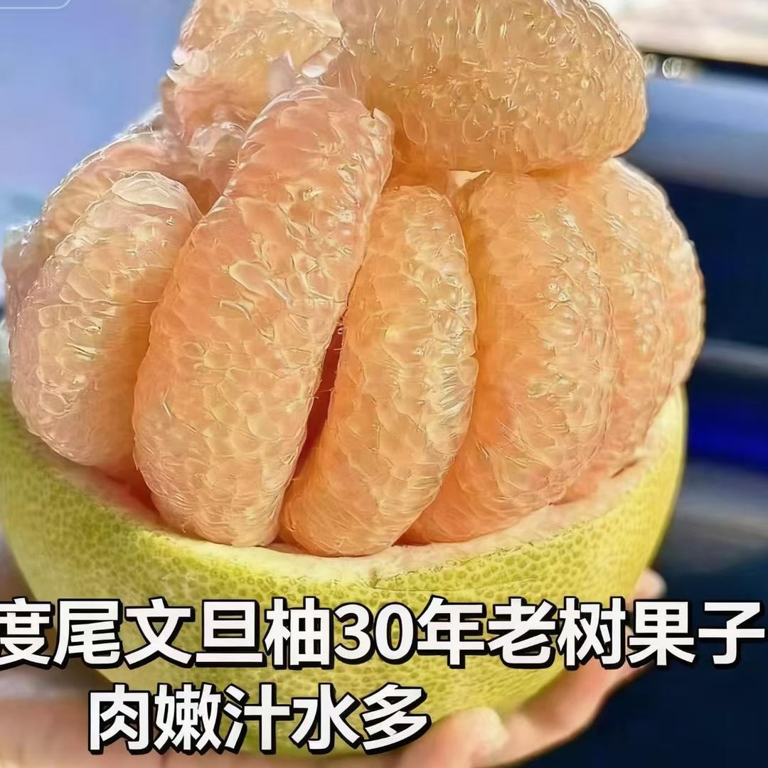 度尾文旦柚当季水果