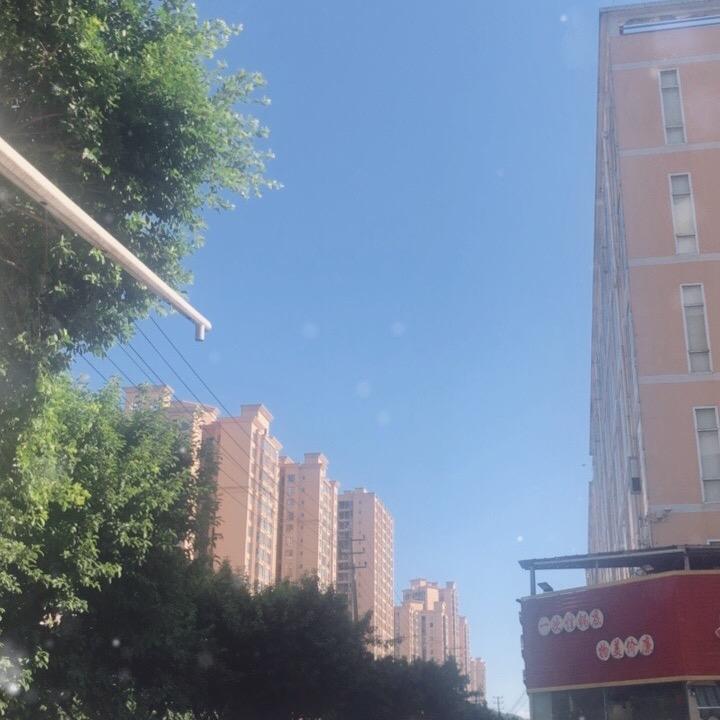 专注排三