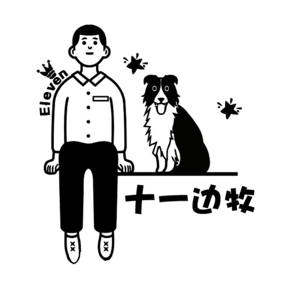 十一边牧犬舍（直播1号）